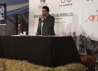 Un remate con promedios «para un cuadro»