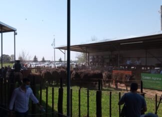 Rematazo de Mayacó con la dualidad