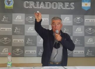 Los «Criadores» metieron primera en la pantalla chica