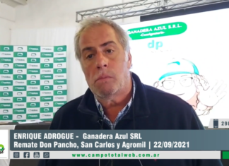 Entrevista a Enrique Adrogue