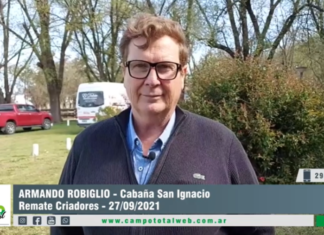 Entrevista a Armando Robiglio