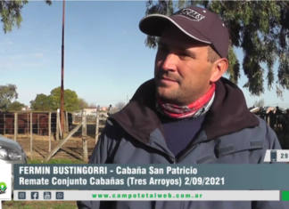 Entrevista a Fermín Bustingorri