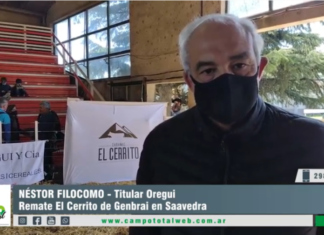 Entrevista a Néstor Filocomo