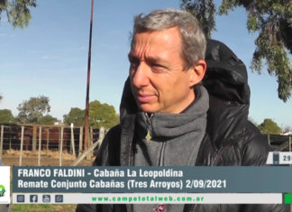 Entrevista a Franco Faldini