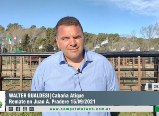Entrevista a Walter Gualdesi