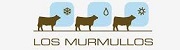 murmullos ok