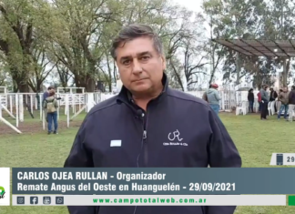 Entrevista a Carlos Ojea Rullán