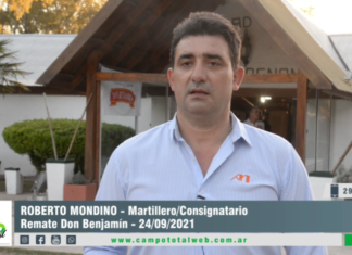Entrevista a Roberto Mondino