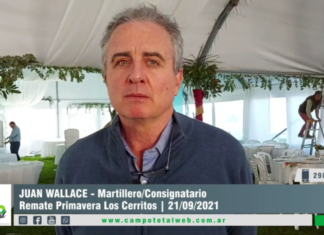 Entrevista a Juan Wallace