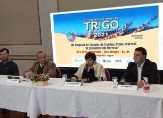 La calidad y sustentabilidad, temas del Congreso Nacional de Trigo