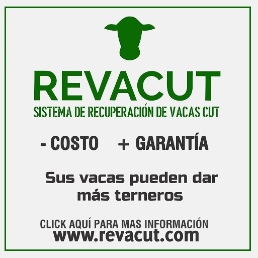 – COSTO