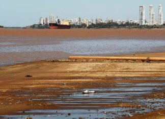 Bajante del Paraná: los exportadores perdieron 280 mill/U$S