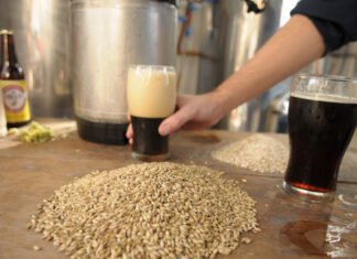 Año récord para la industrialización de Cebada Cervecera