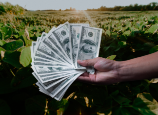U$Ss por cosecha: Un enigma que la soberbia oficial se niega a aceptar