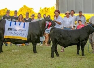 Durazno a La Napolitana