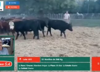 Wallace en la web, con calidad y valores