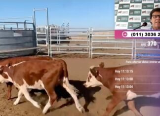 Lartirigoyen y Oromí con otro capítulo en la web