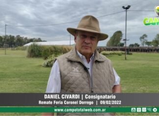 Entrevista a Daniel Civardi