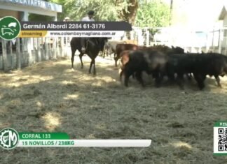Colombo y Magliano metió la quinta en Olavarría