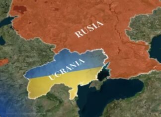 Maíz y trigo, mejores perspectivas ante la crisis ruso-ucraniana