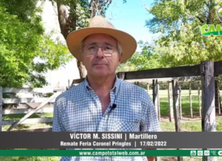 Entrevista a Víctor M. Sissini