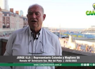 Entrevista a Jorge Illa