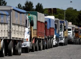 Por la debilidad de los precios, el flete les pega fuerte a los márgenes