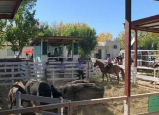 El mercado dejo su sello en Rauch