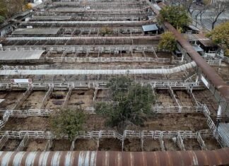 Liniers: qué pasará con el predio ubicado en el barrio porteño