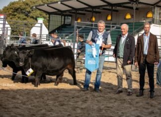Centenario de Angus, llegó la hora tan esperada