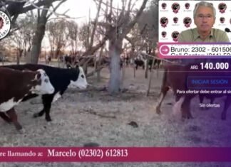 Brandemann y su clásico mensual en la web