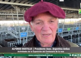 Entrevista a Alfonso Bustillo