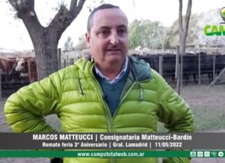 Entrevista a Marcos Matteucci