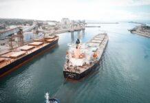 El agro acelera: las exportaciones crecieron 13,1%