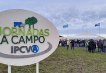 Jornada a Campo del IPCVA en Tres Arroyos