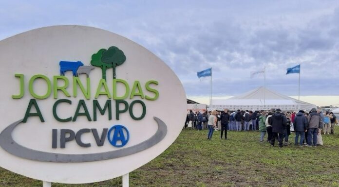 Producir más kilos reales en ambientes difíciles