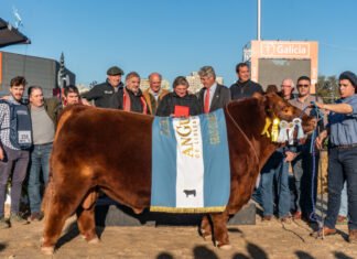 De Indio Rico: Revalidó el título con un Tri Campeonato