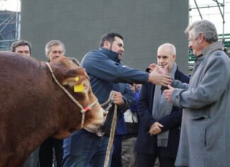 Nicanor, el primer animal de Palermo 2022