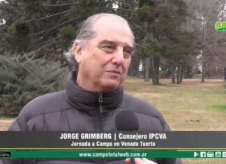 Entrevista a Jorge Grimberg