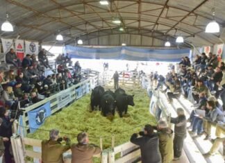 Los Elegidos salen a la pista en Cañuelas