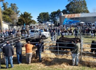 Inambú dió la segunda vuelta en Balcarce