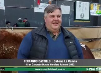 Entrevista a Fernando Castillo