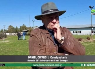 Entrevista a Daniel Civardi