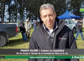 Entrevista a Franco Faldini
