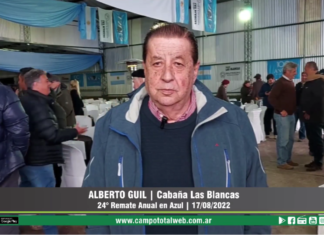 Entrevista a Alberto Guil