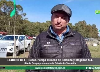Entrevista a Leandro Illa