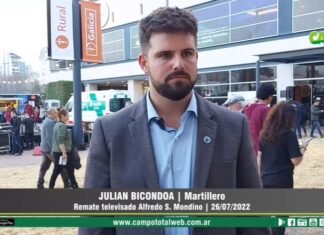 Entrevista a Julián Bicondoa