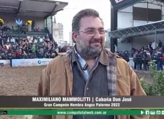 Entrevista a José Mammolitti