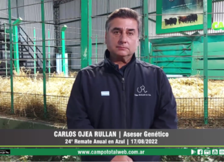 Entrevista a Carlos Ojea Rullán