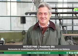 Entrevista a Nicolas Pino